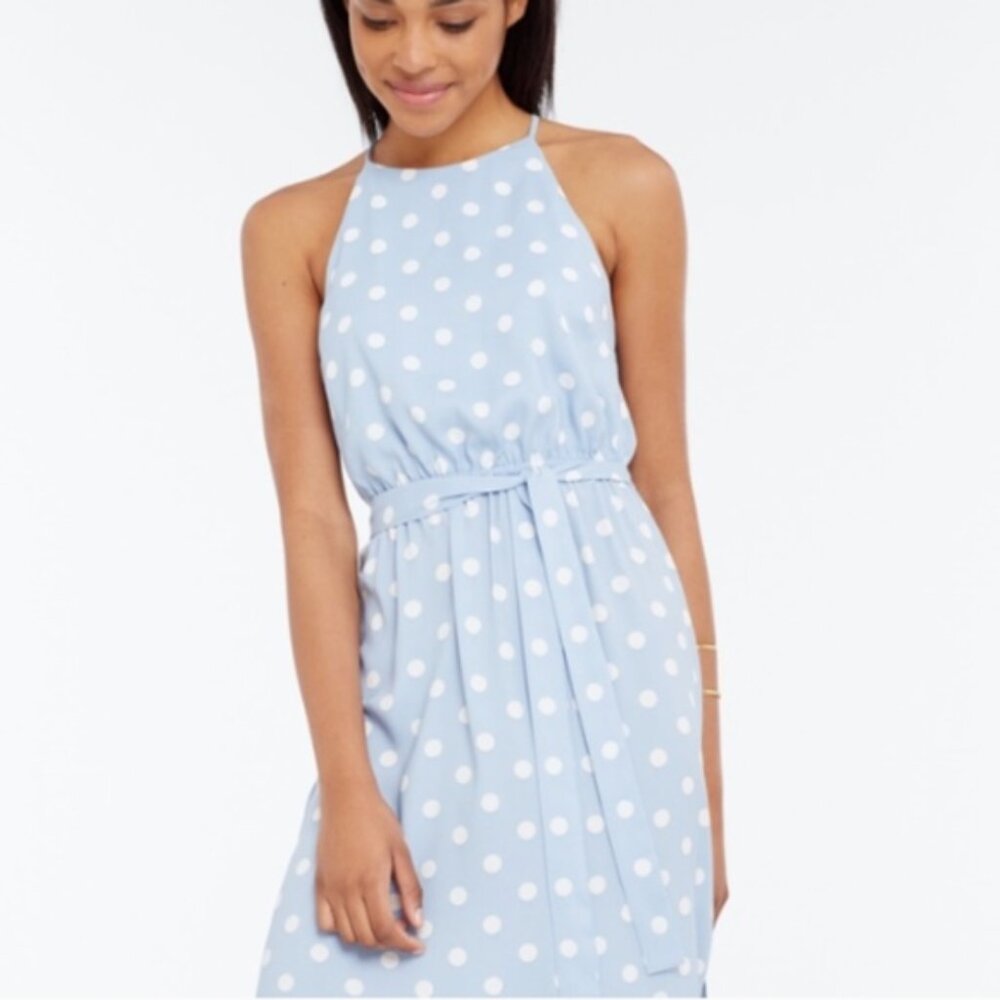 Ann Taylor Baby Blue/White Polka Dot Maxi Dress